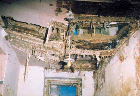 Zerstörung einer Holzbalkendecke durch den Echten Hausschwamm