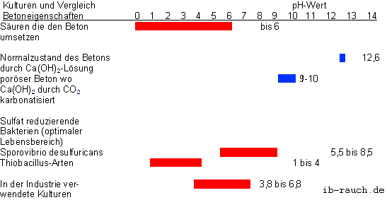 Bild pH-Bereiche Beton und Bakterien