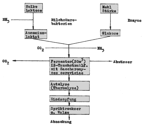 Kieler Verfahren zur Verhefung von Sauermolke
