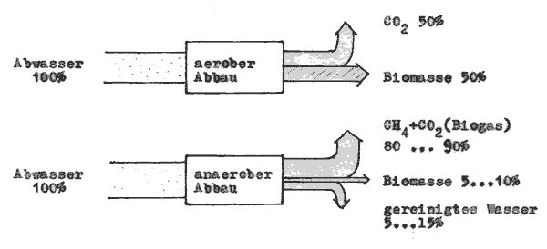 Kohlenstoffbilanz bei der aeroben und aneroben Abwasserreinigung
