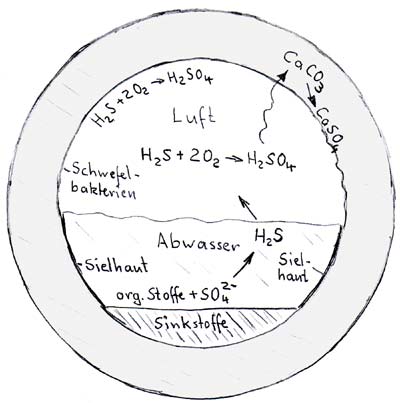 chemische Reaktionen in einem Ablussrohr