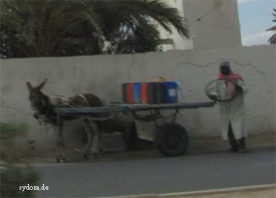 Eselkarren auf Djerba