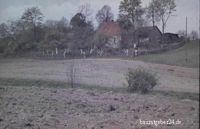 House with land and forest