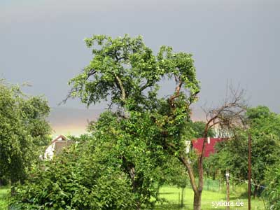 Leuchten nach einem Regen