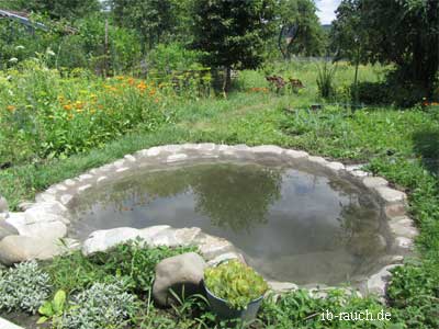 Garten und Gartenteich