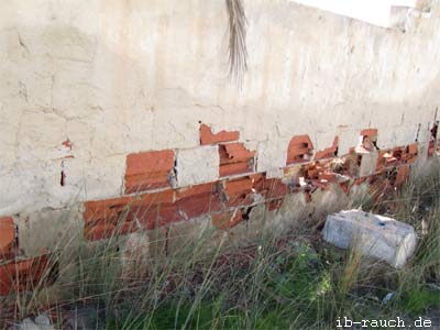 Salzbelastung der freistehenden Mauer durch Niederschlag