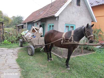 Pferdewagen in Velykyi Bychov