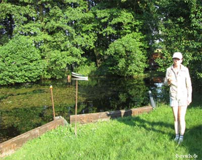 Ein natürlicher Schwimmteich im eignen Grundstück