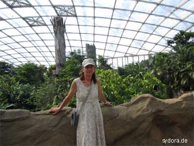 In der Riesentropenhalle Gondwanaland