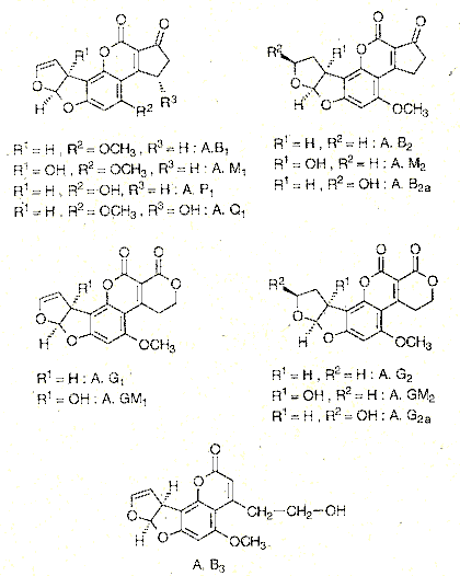 Aflatoxine