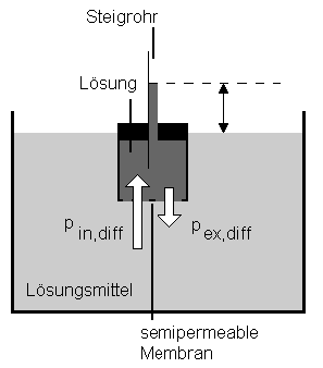 Schema zur Funktionsweise der Osmose