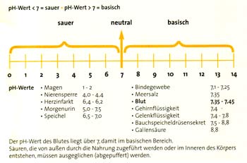 ph-Wert im menschlichen Körper