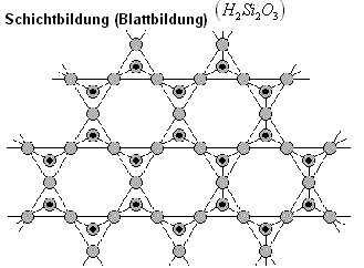 Blattbildung Kieselsäure