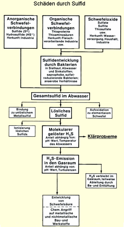 Schäden durch Sulfid, Entstehung und Eigenschaften