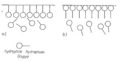 Verhalten der Tensidmoleküle